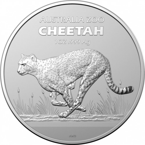 australia-zoo-cheetah-2021.jpeg