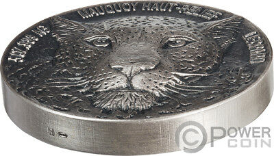 LEOPARD-Big-Five-Mauquoy-5-Oz-Silver-Coin-_1.jpg